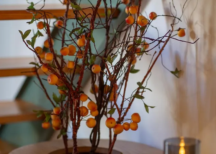 Ground Living Apartament *