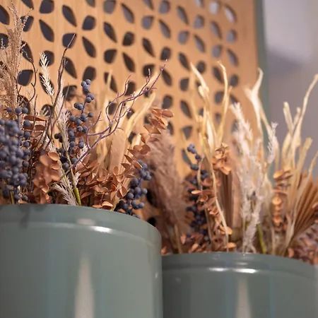 Appartement Ground Living